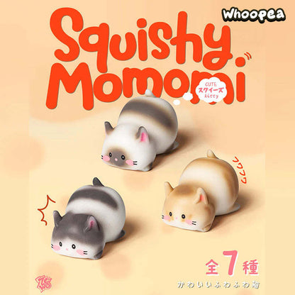 Squishy Momomi Cute Kitty Series Figures, Blind Box