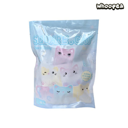 Mini Square Cat Ice Cool Series Blind Bag